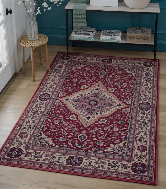 Area Rug Cleaning process